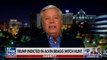 Lindsey Graham bizarrely calls Donald Trump indictment ‘legal voodoo’