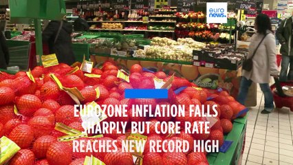 Eurozone inflation falls sharply but core rate reaches new record high of 5.7%