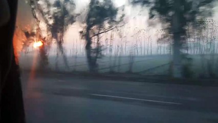 Travel from peshwar to swat