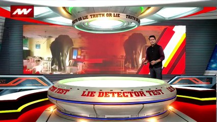Lie Detector Test : क्या है होटल में हंगामा करते हाथी का सच?