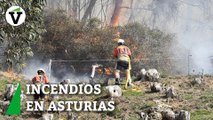 Luarca es una de las zonas más afectadas por los incendios