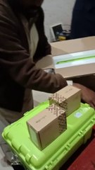 Fiber Optic Equipment that provides connectivity