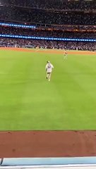 Il n'aurait peut-être pas dû entrer sur le terrain d'un match de baseball... punition douloureuse