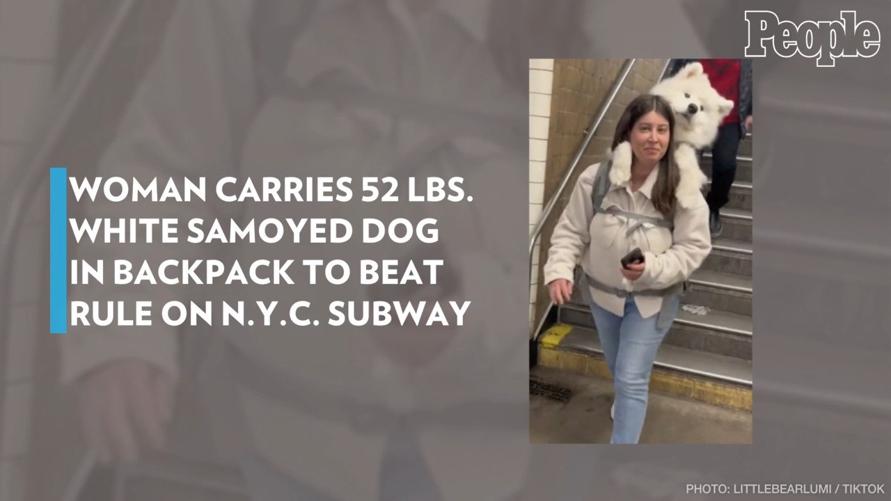 Woman Carries 52 Lbs. White Samoyed Dog in Backpack to Beat Rule on N.Y.C. Subway