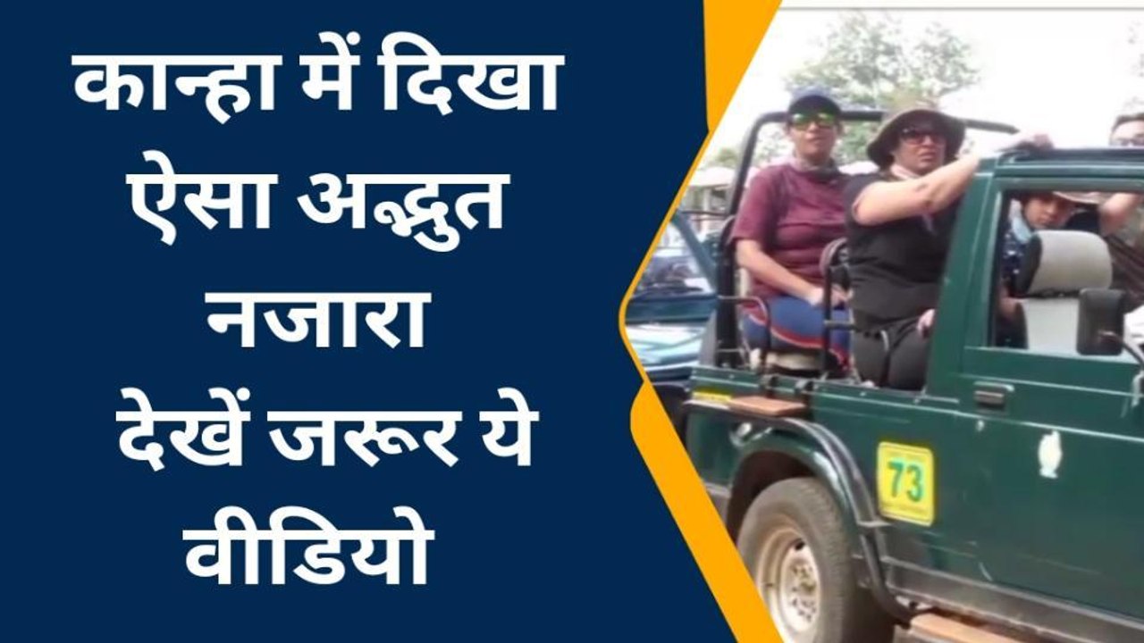 Viral: शावकों के साथ अठखेलियां करती बाघिन,जमकर बटोरी सुर्खियां,देखें Video