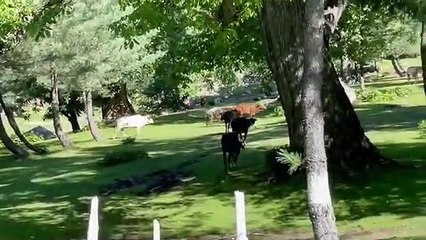 Manoor Valley of Kaghan