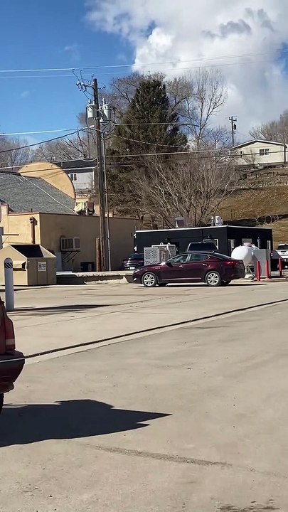 Canine Car Surfing
