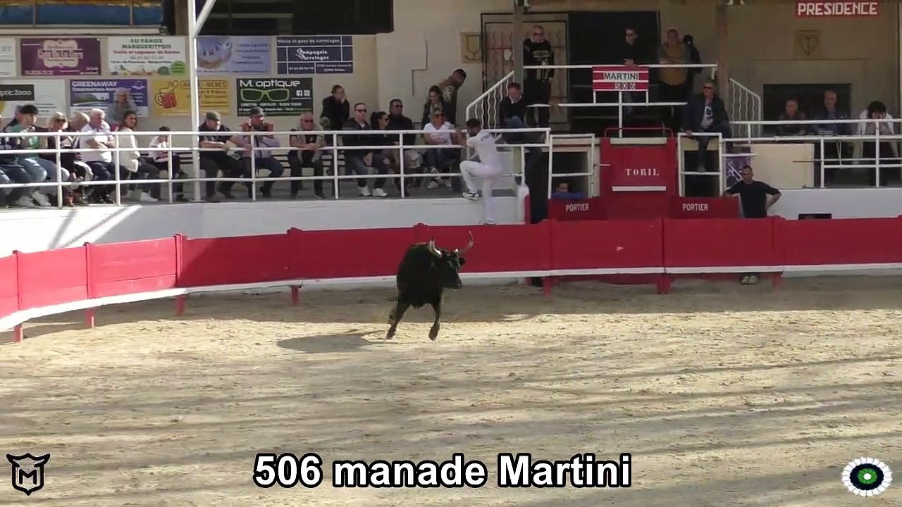2023 03 25 Taureaux Jeunes Martini