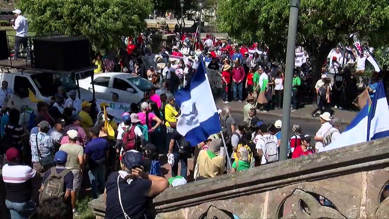 DIPUTADA BARQUERO
