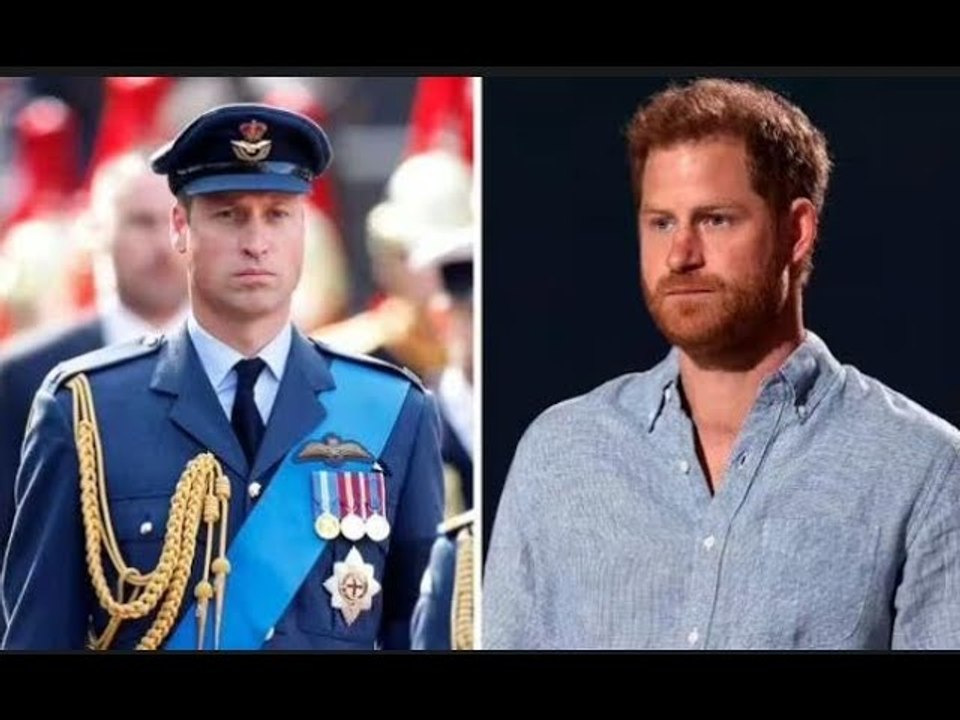 Il principe Harry "ha concluso ogni tipo di relazione" con il principe William quando ha pubblicato