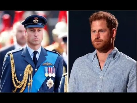 Le prince Harry a mis fin à tout type de relation avec le prince William lorsqu'il a publié Spare