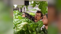 Sustainable food production: Winter harvest and food system design