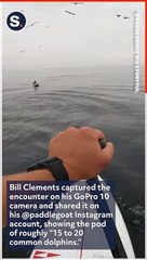 California Kayaker's Persistence Pays Off With Rainy-Day Dolphin Sighting