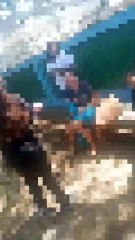 Menina autista é alvo de bullying  em escola do Rio de Janeiro