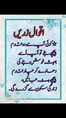 Best Aqwal E Zareen urdu Poetry
