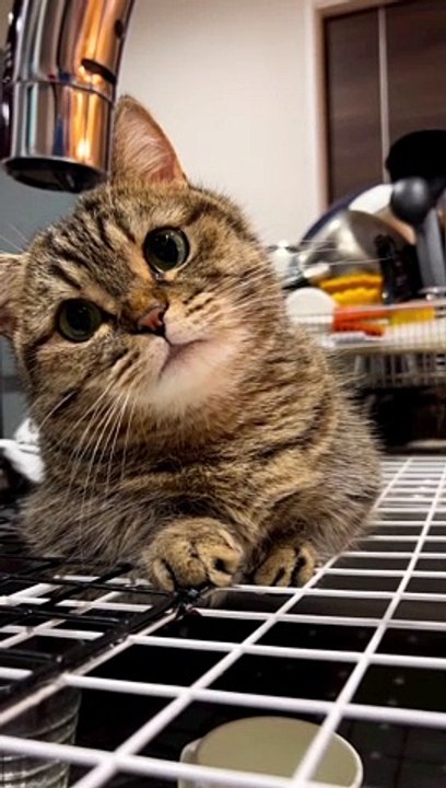 %E4%B9%85%E3%81%97%E3%81%B6%E3%82%8A%E3%81%ABiPhone%E9%80%86%E3%81%95%E3%81%BE%E3%81%AB%E6%8C%81%E3%81%A3%E3%81%A6%E6%92%AE%E3%81%A3%E3%81%A6%E3%81%BF%E3%81%9F_%23%E8%9B%87%E5%8F%A3%E3%82%B7%E3%83%AA%E3%83%BC%E3%82%BA__%E2%A0%80_%