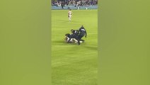 Dodgers fan tackled by security while attempting to propose on pitch