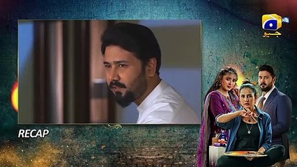 Recap Grift Episodeisode 101 - 31st March 2023  - FLO Digital