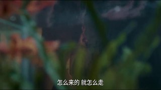 The Beautiful Kokonor Lake (2020) Watch HD