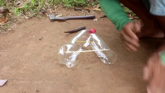 Sun Conure parrots in 4K Ultra HD || The most beautiful birds in 8 kilos || Jungle sounds