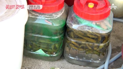 '인삼 부부'의 러브 하우스 大공개! 3대째 살고 있는 부부의 보금자리는?