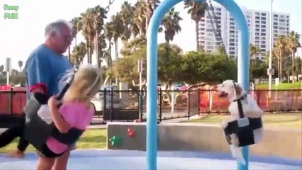 Funny Dogs Acting Like Humans Compilation 2016