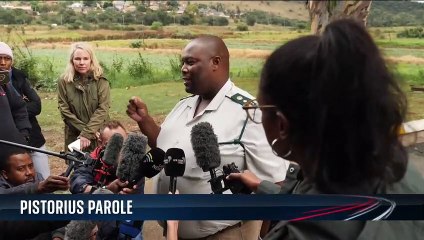 Oscar Pistorius denied parole for murder sentence