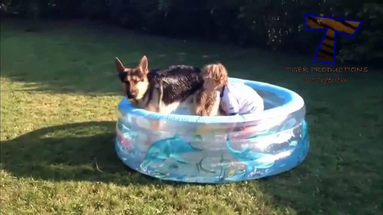 Funny babies and animals bathing together   Cute baby & animal compilation!