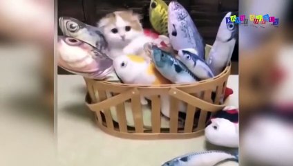 Просто приколы с котанами. Нарезка #10.