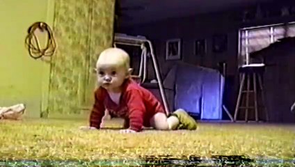 Cute Dogs And Adorable Babies Compilation