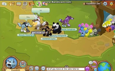Animal Jam Funny  ARCTIC WOLF SCARED OF AJHQ