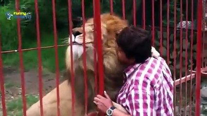 Cute Animal Videos Compilation 2015    Best cat Videos 720p   HD