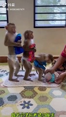 Very funny video very funny video very funny video very