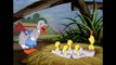 Tom & Jerry _ Helllooooo Easter!  _ Classic Cartoon Compilation _ @wbkids