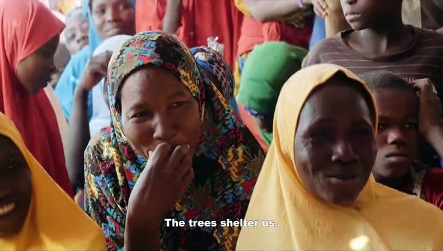 L'homme qui ressuscite les arbres Bande-annonce (EN)