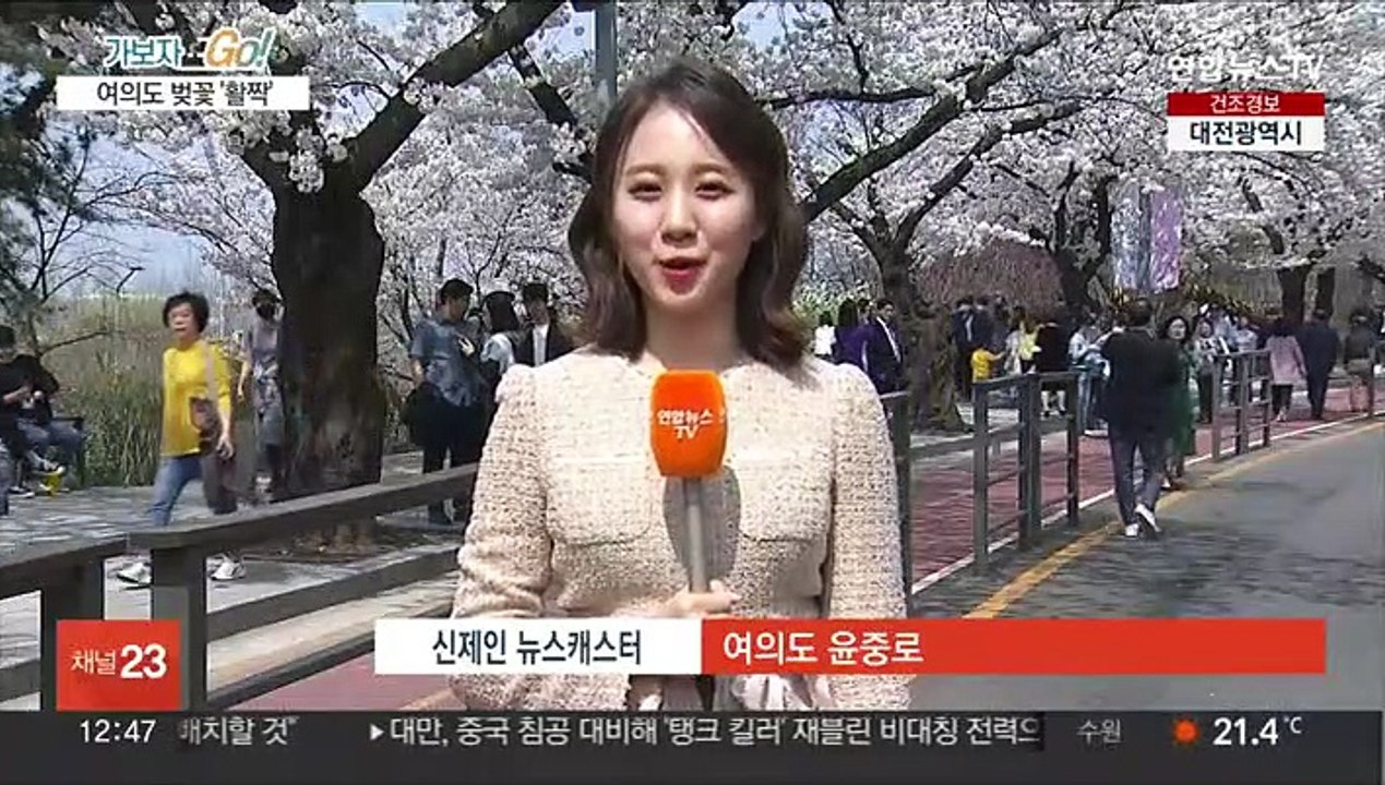 '분홍빛 향연' 여의도 벚꽃길…오늘부터 차량 통제