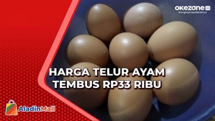 Harga Telur Ayam Tembus Rp33 Ribu di Tuban, Produsen Kemplang Terancam Rugi