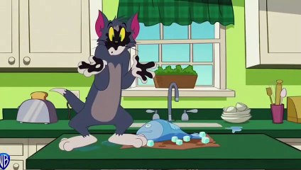 The Tom and Jerry Show _ Baby Octopus On The Loose Reverse _VBkids