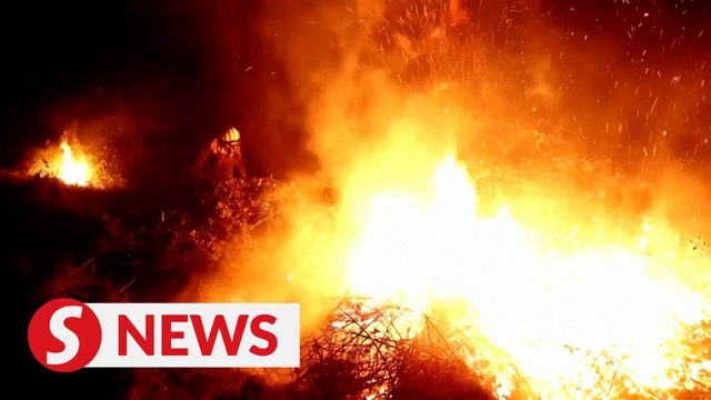 Spain's Asturias ravaged by fires as authorities blame 'terrorist' arsonists