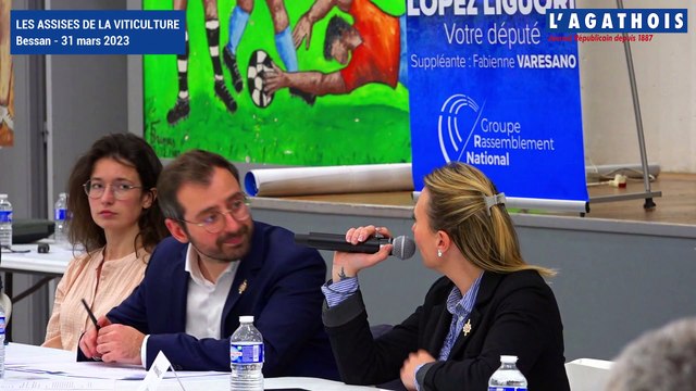 Plus de 30 professionnels réunis aux assises de la viticulture à Bessan