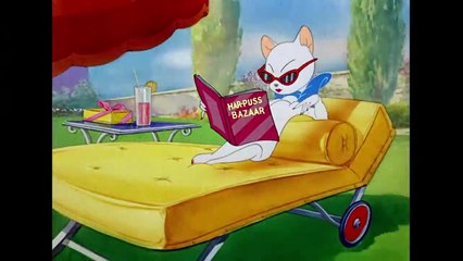 tom-y-jerry-en-español-¡un-poco-de-aire-fresco-wb-kids