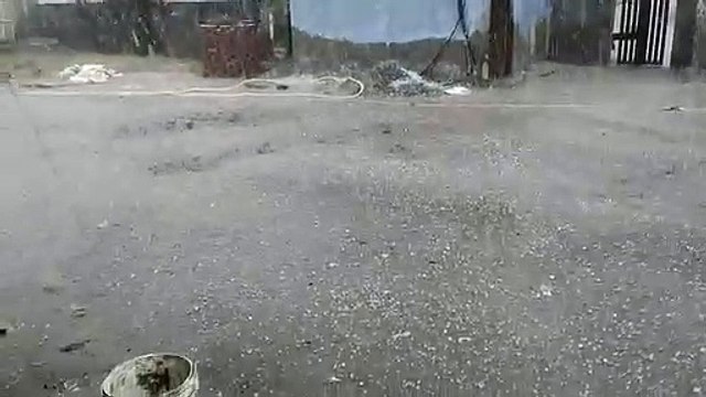 Video News- आसमान से बरसी आफत: पानी में बह गया किसानों का पसीना