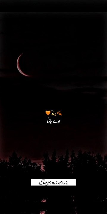 Ramzan shorts
