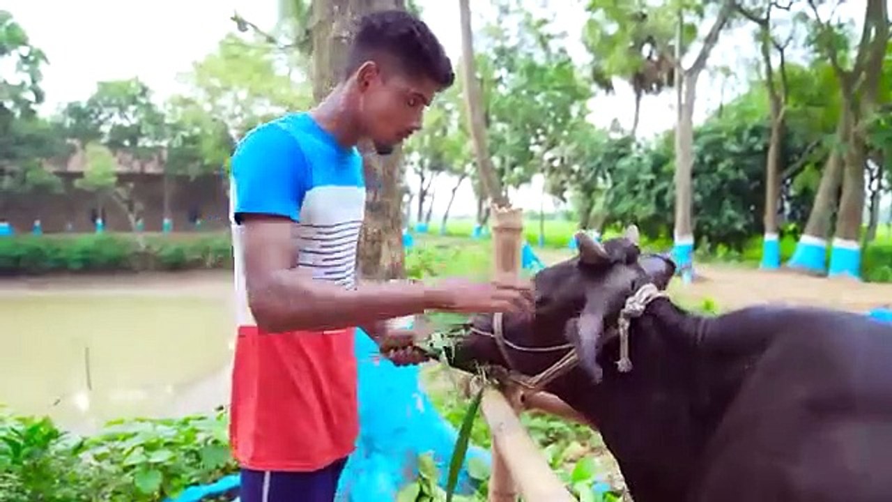 Tui Tui Comedy VideoTui tui Best Funny Video 2022Special New Video
