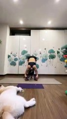 HANDSTAND YOGA - LidiYoga