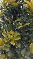 VID-20230328-WA0016