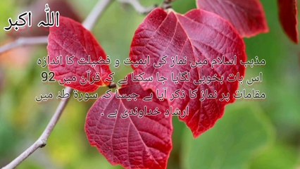 Quran o hadees ki Roshni mai Namaz ki Ahmiayat|Importance of prayer|Part 1
