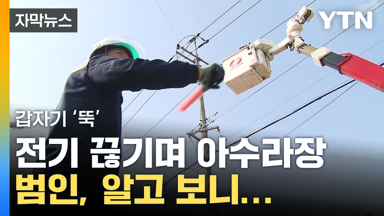 [자막뉴스] '펑' 곳곳 대규모 정전 만든 범인...한전 '전쟁 선포' / YTN