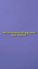 Learning Time BD কোন দেশে মোটা হয়ে গেলে জেলে যেতে হয়? Bangla GK