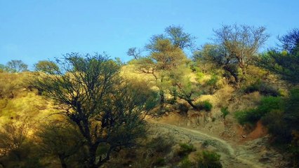 Dahan gali bridge kallar seydan rawalpindi